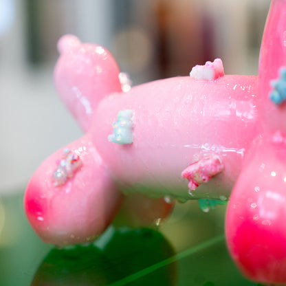 Close-up of a pink cactus with white flowers against a blurred green background